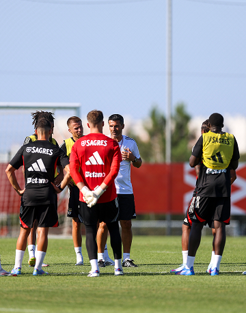 Área Técnica (Mobile)