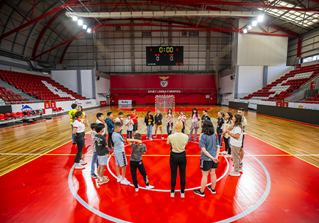 Onde a Magia Acontece