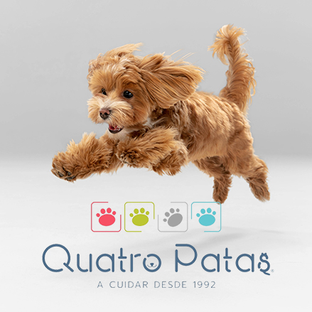 Quatro Patas