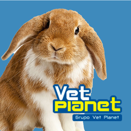 Vet Planet