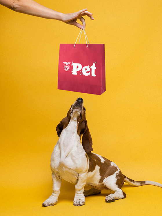 Cão Benfica Pet