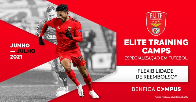 Elite Training Camps