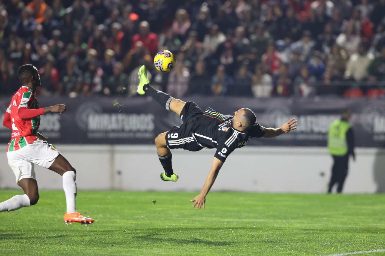 Festa das Jogadores Benfica Feminino WCL