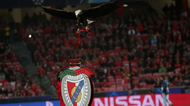 aguia-estadio-1-new_thumbnail