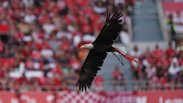 Águia Benfica