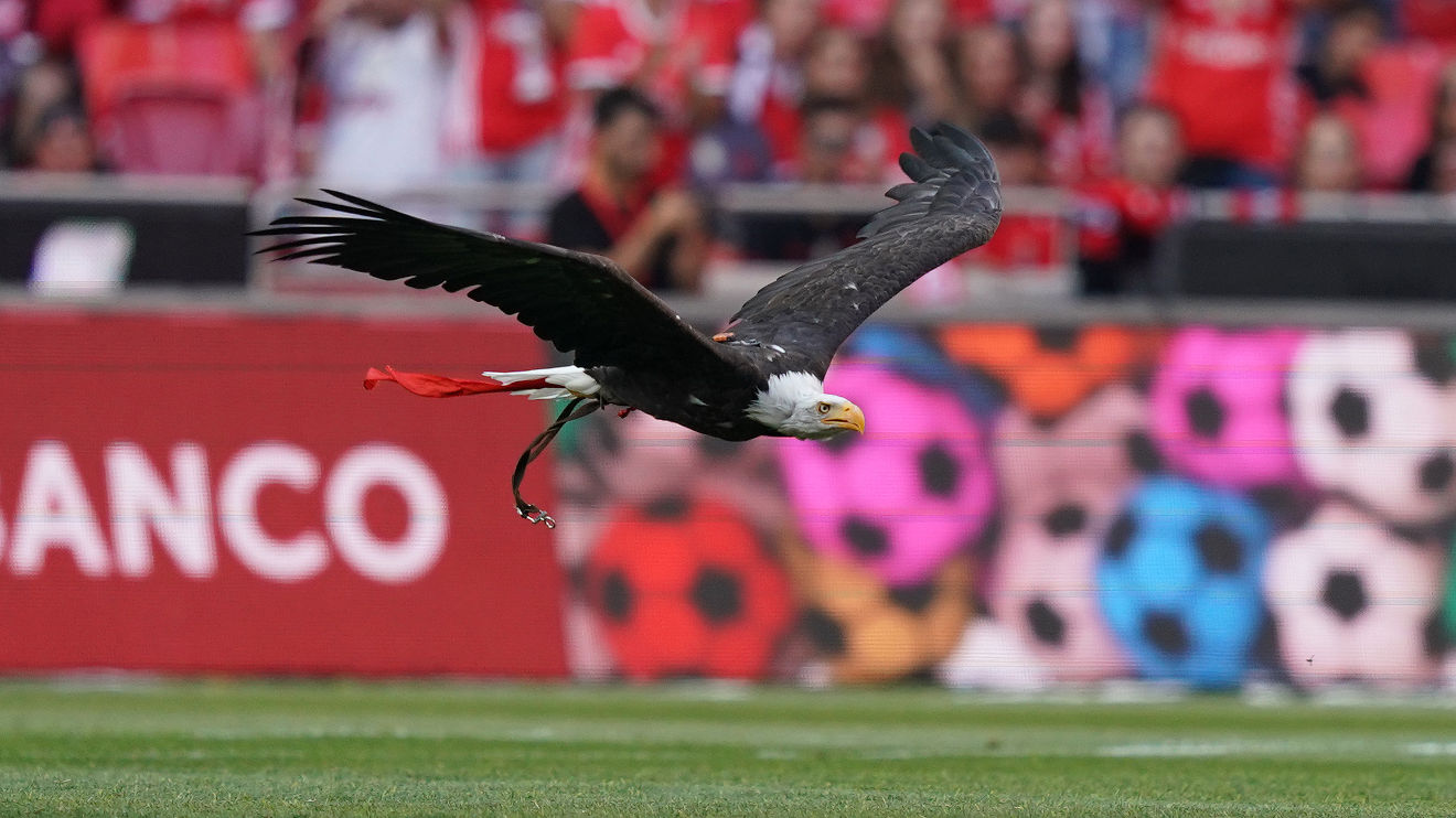 Águia Benfica