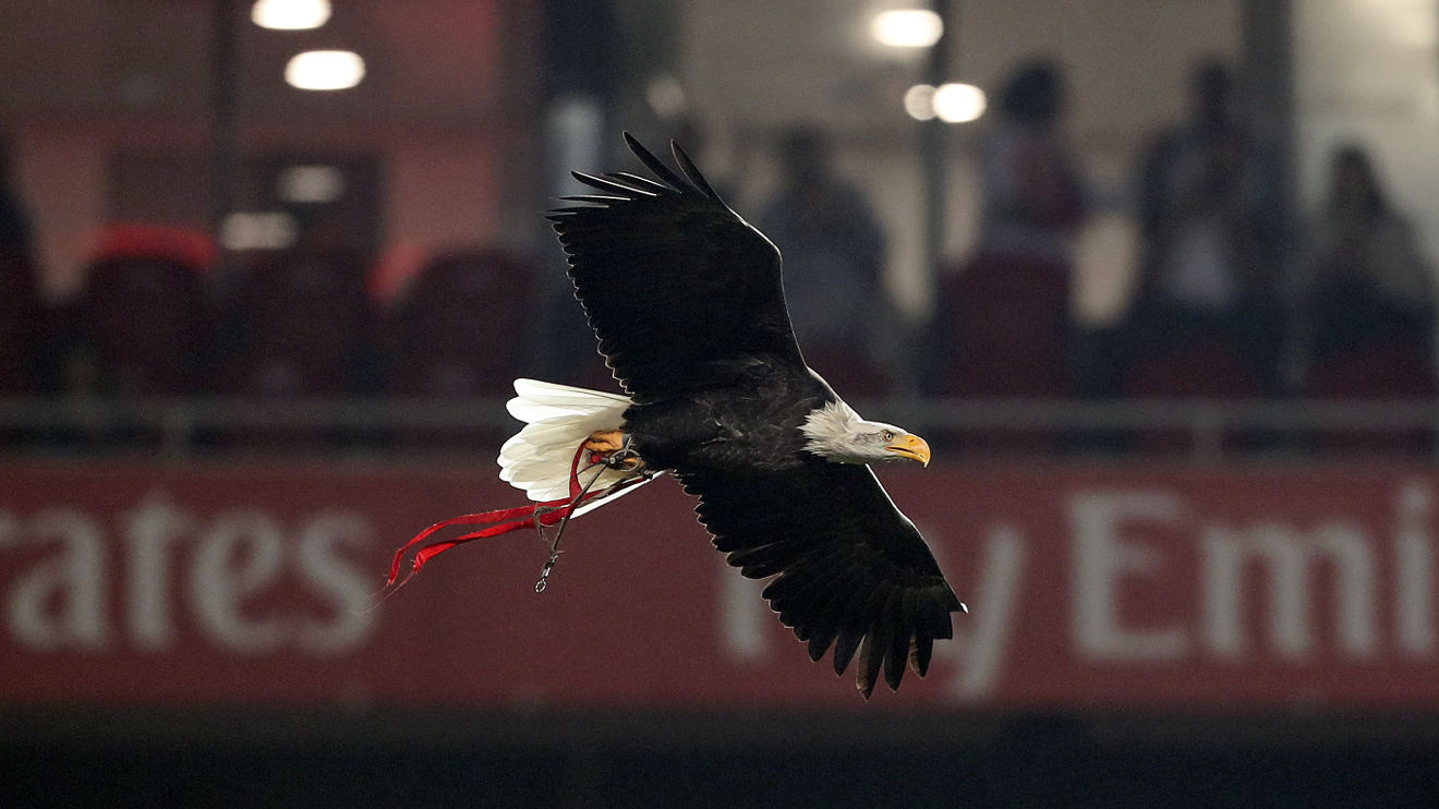 Águia SL Benfica