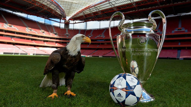 Estádio da Luz em 2014