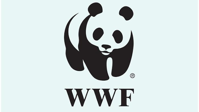 WWF 3 de junho Covid-19