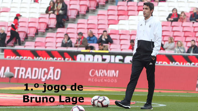 Ano de 2019 em revista