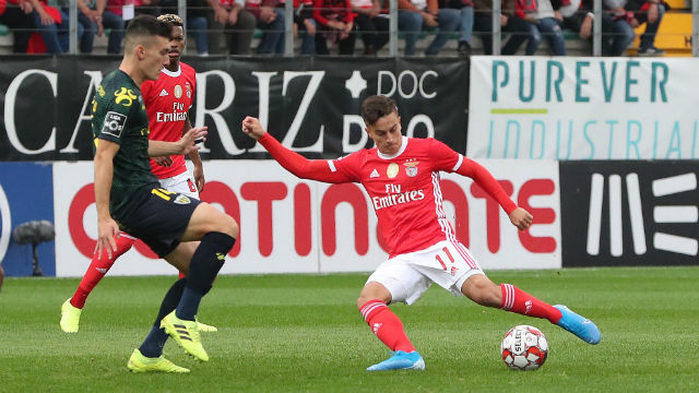 Tondela-Benfica