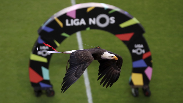 Águia Benfica Estádio da Luz