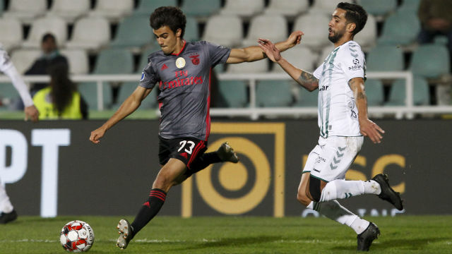Jota 