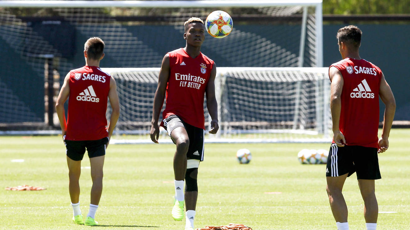 Treino