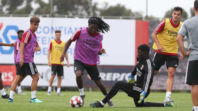 Treino