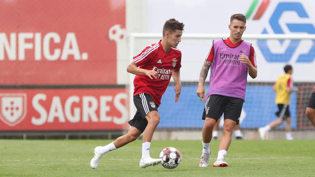 Treino