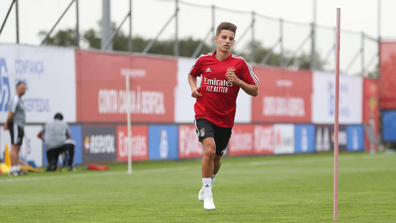 Treino