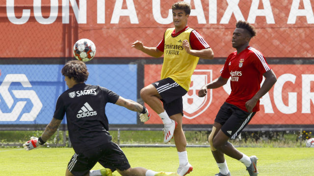 Treino Benfica Aberto aos Sócios
