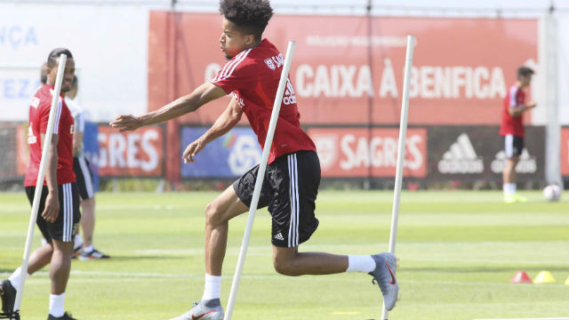 Segunda semana de trabalho do Benfica