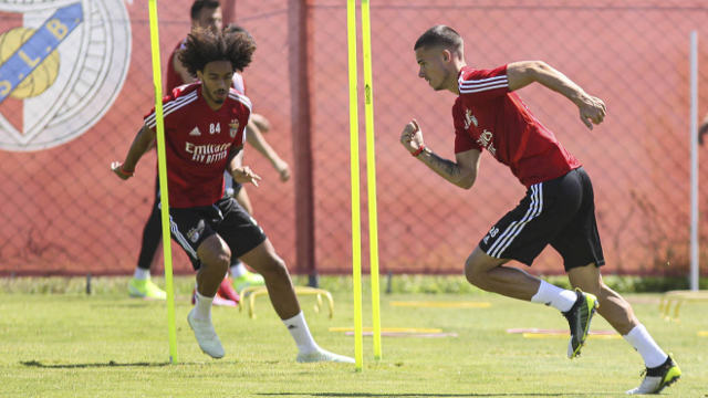 Weigl e Tomás Tavares Benfica