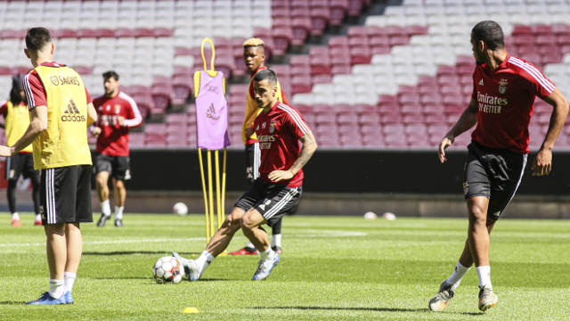 Treino Benfica Estádio da Luz