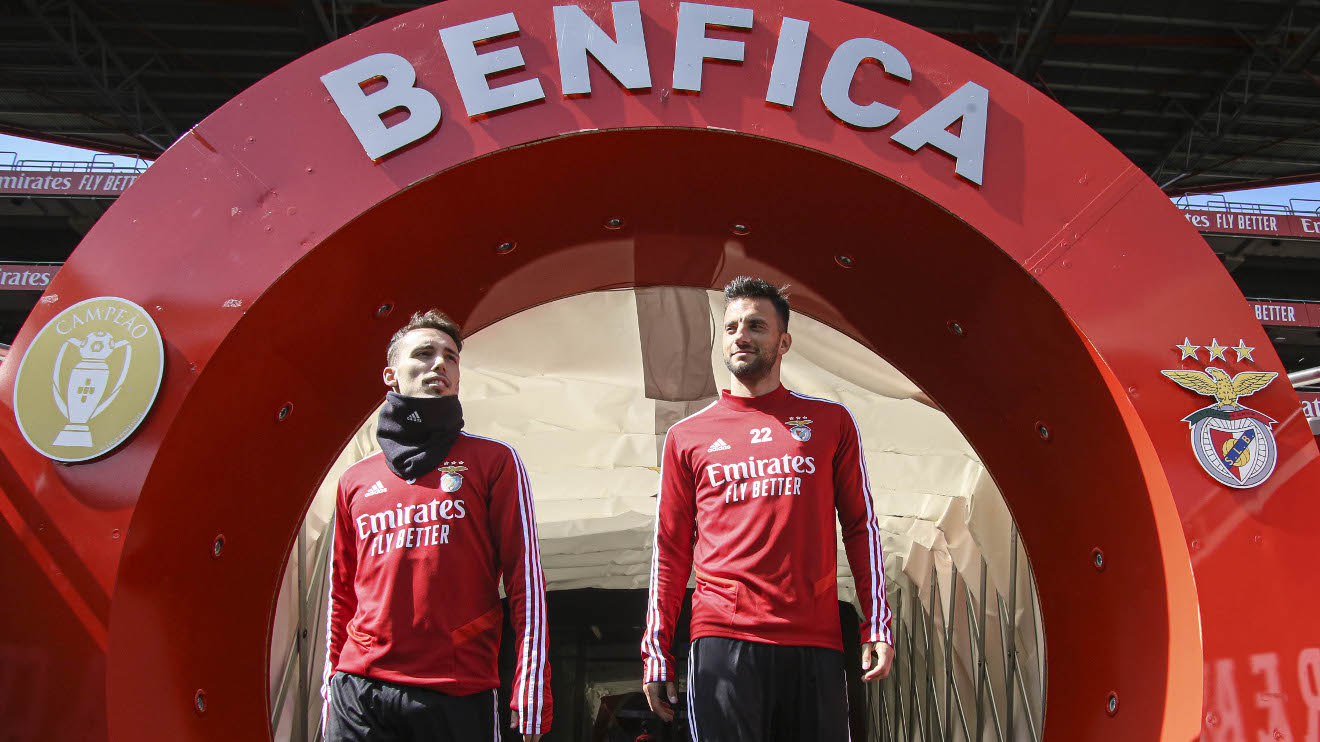 Treino Benfica Estádio da Luz