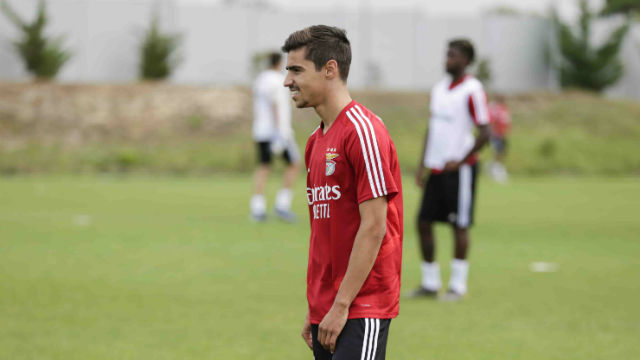 Rodrigo Conceicao