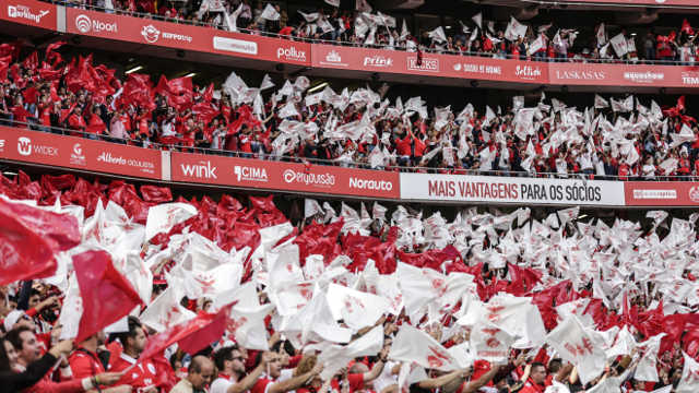 Est&#225;dio da Luz 
