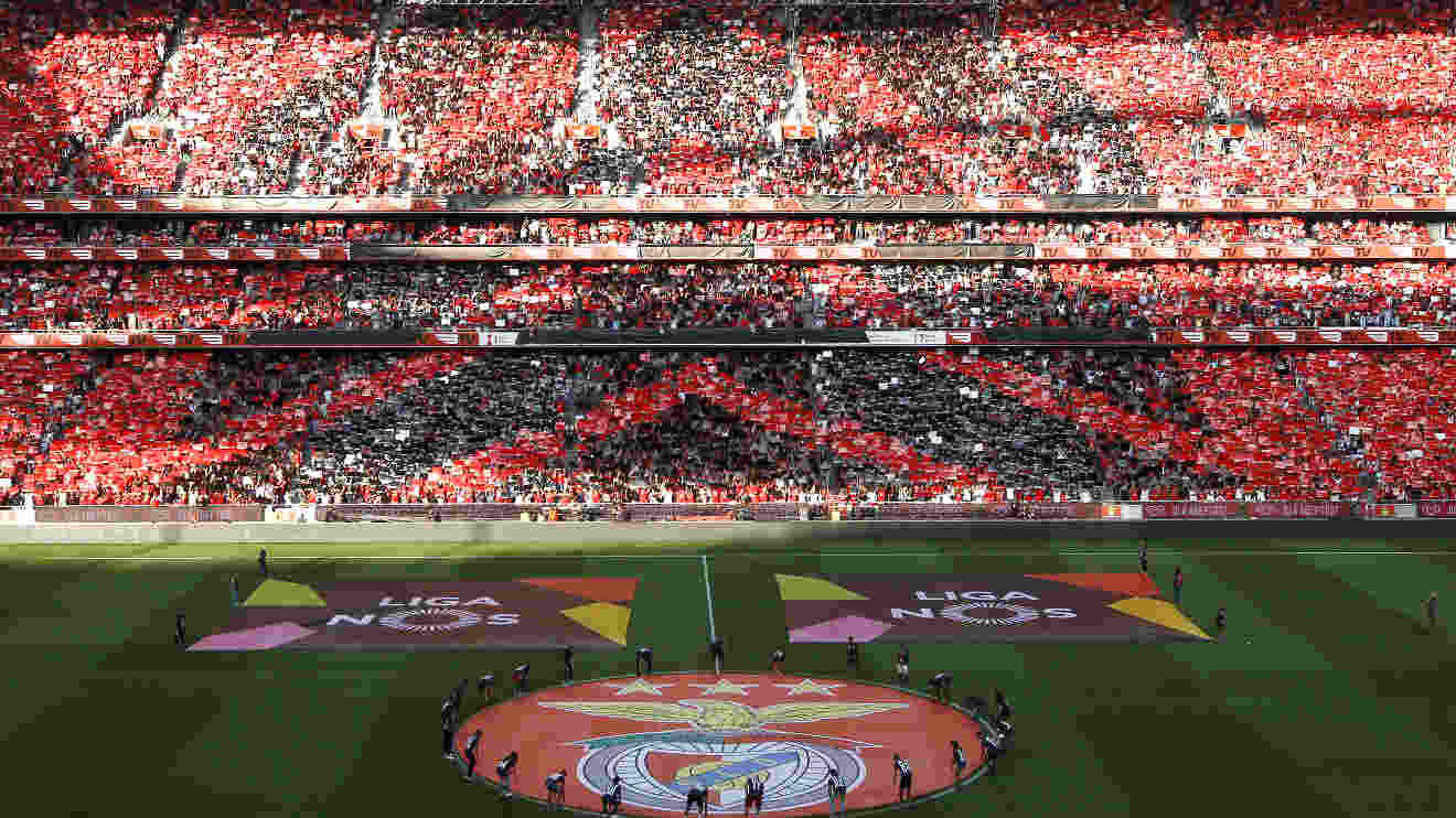Adeptos Estádio da Luz