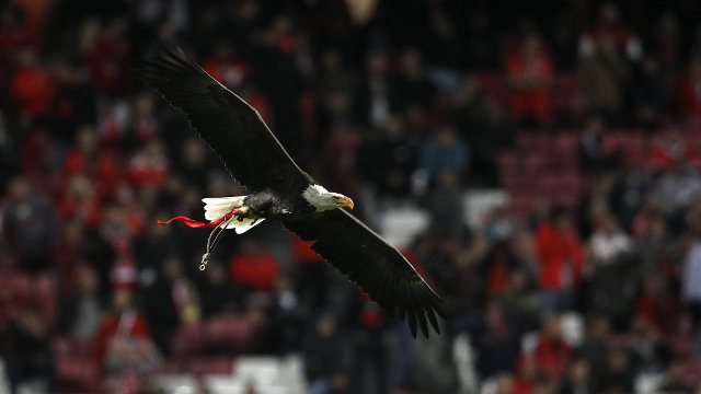 Adeptos no Estádio da Luz