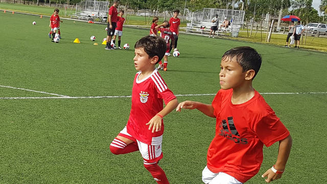 Benfica Football Experience Miami
