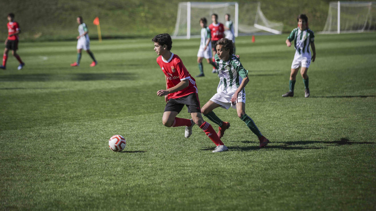 Benfica-V. Setúbal