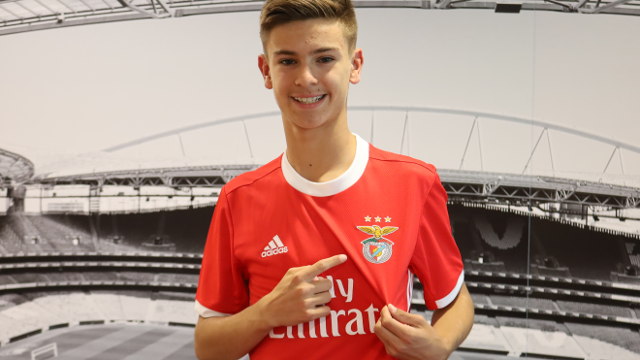 Afonso Martins