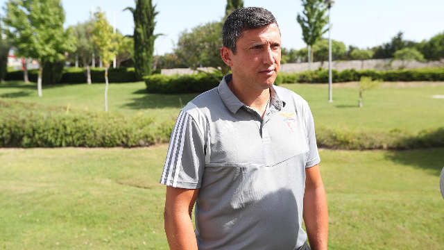 Lu&#237;s Ara&#250;jo
