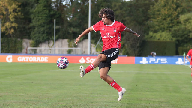 Benfica Real Madrid Futebol UEFA Youth League