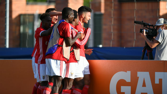 Futebol Dínamo Zagreb Benfica UEFA Youth League