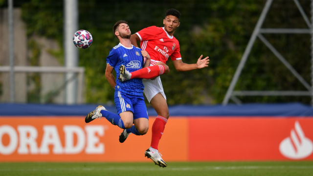 Futebol Dínamo Zagreb Benfica UEFA Youth League
