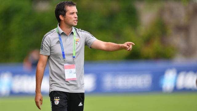 Futebol Dínamo Zagreb Benfica UEFA Youth League