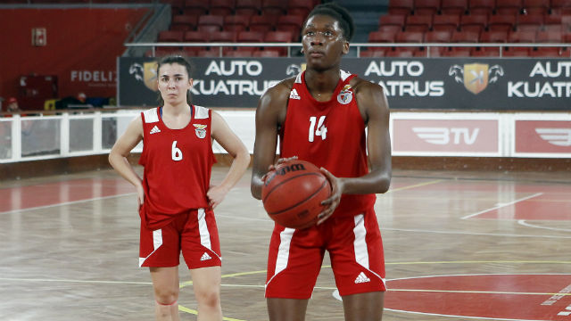 Basquetebol feminino