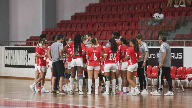 Andebol feminino