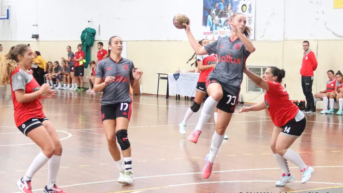 Andebol feminino
