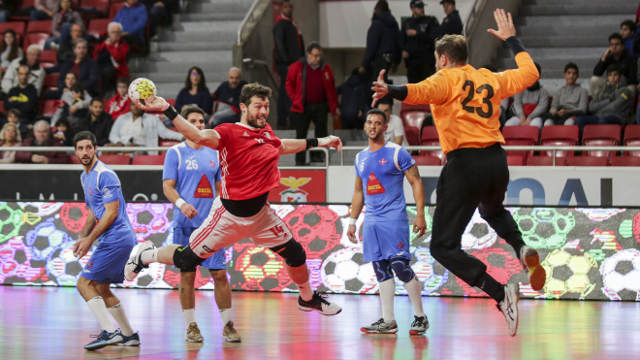 Ricardo Pesqueira Benfica Andebol