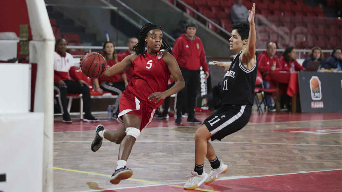 Basquetebol feminino