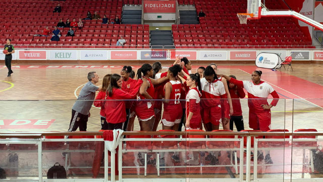 Basquetebol Feminino