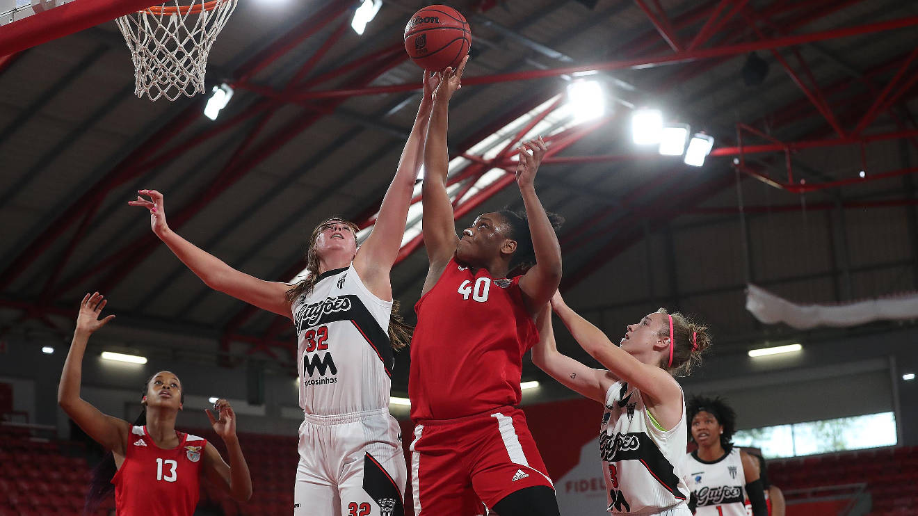 Basquetebol feminino