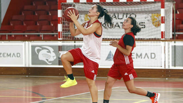 Basquetebol feminino