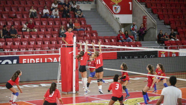 Voleibol