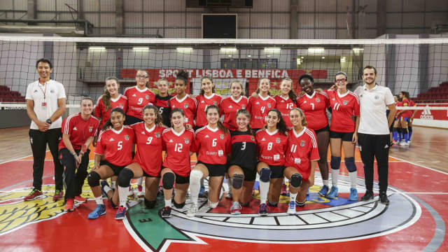 Voleibol formação