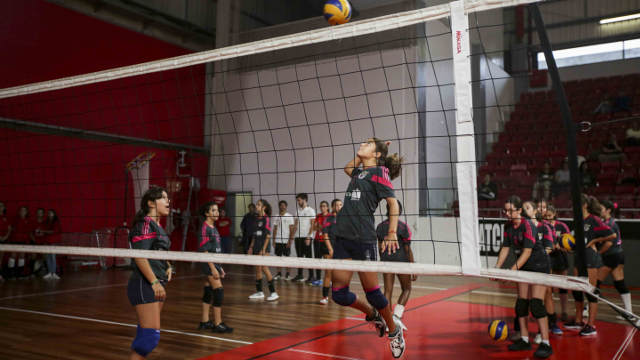 Voleibol formação