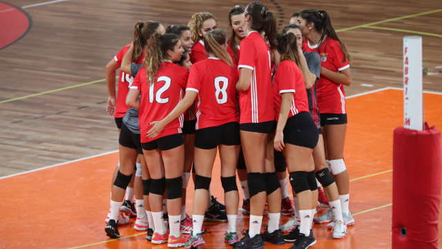 Voleibol feminino